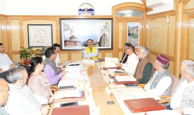CM directs Forest Corporation to expedite disposal of timber wood stock from its depots