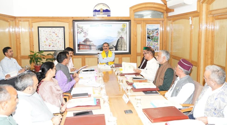 CM directs Forest Corporation to expedite disposal of timber wood stock from its depots