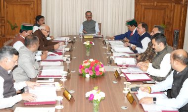 H.P. Cabinet Decisions