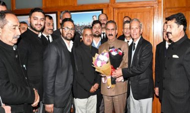 Delegation of Bar Association Theog meets Chief Minister