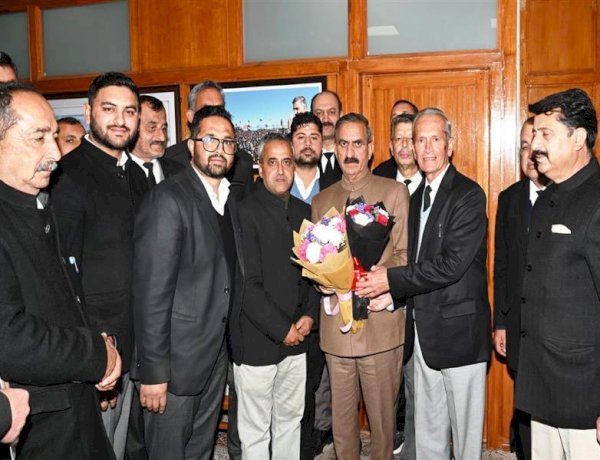 Delegation of Bar Association Theog meets Chief Minister